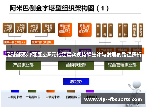 足球部落如何通过多元化经营实现持续生计与发展的路径探析