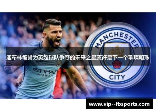 迪布林被誉为英超球队争夺的未来之星或许是下一个璀璨明珠 迪布林被誉为英超球队争夺的未来之星或许是下一个璀璨明珠