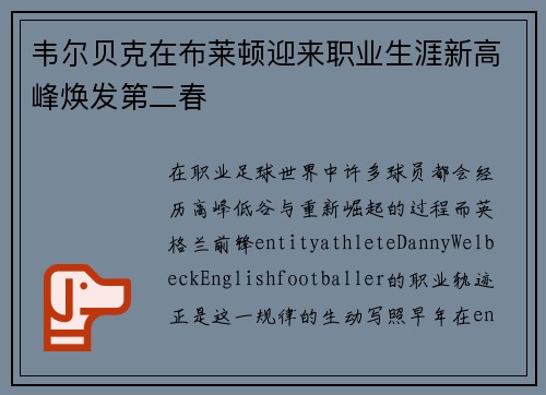 韦尔贝克在布莱顿迎来职业生涯新高峰焕发第二春